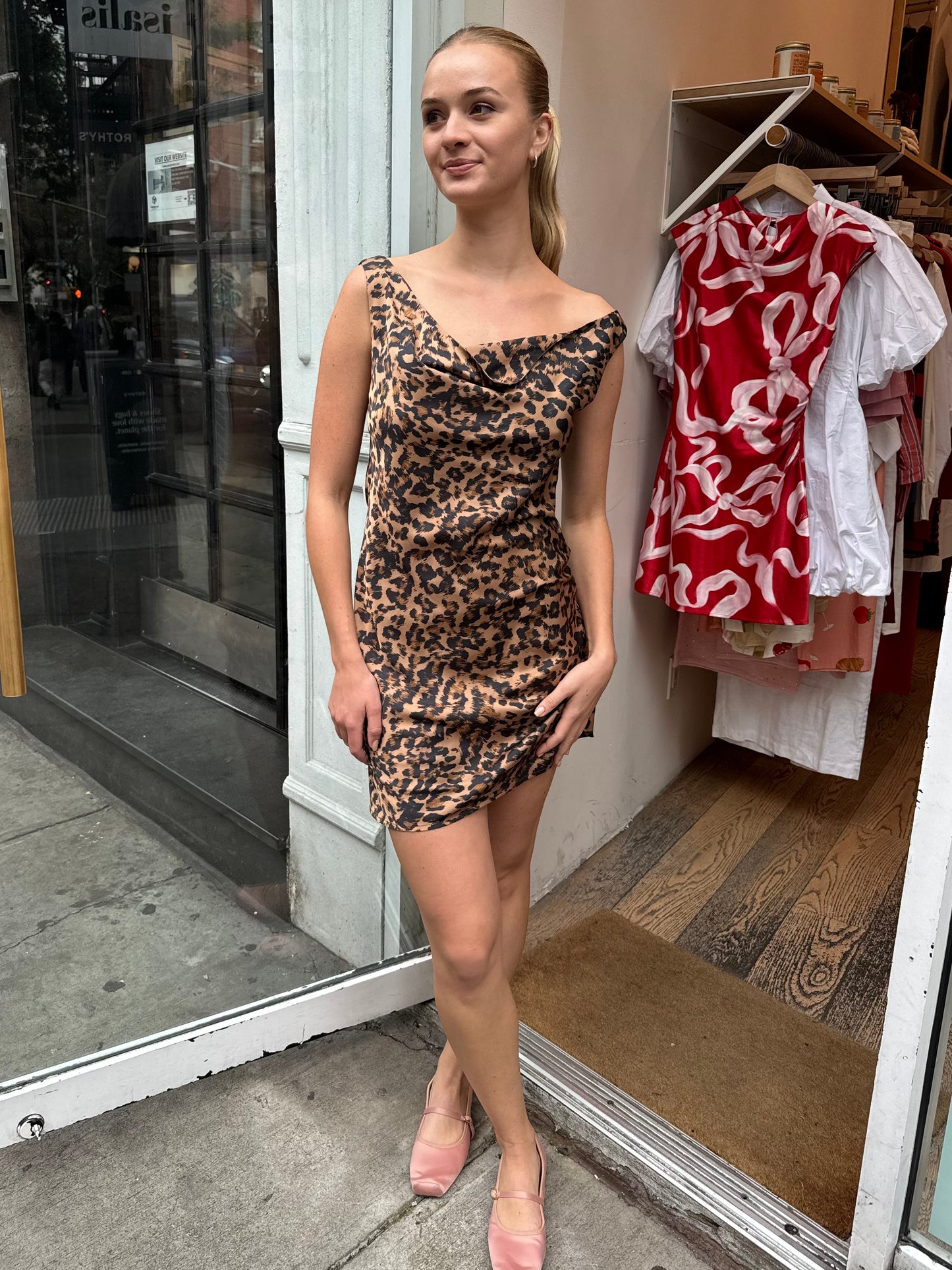 Aralise Dress in Leopard