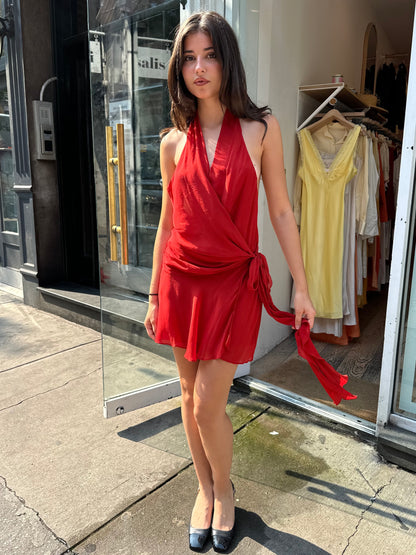 Celyse Mini Dress in Rouge