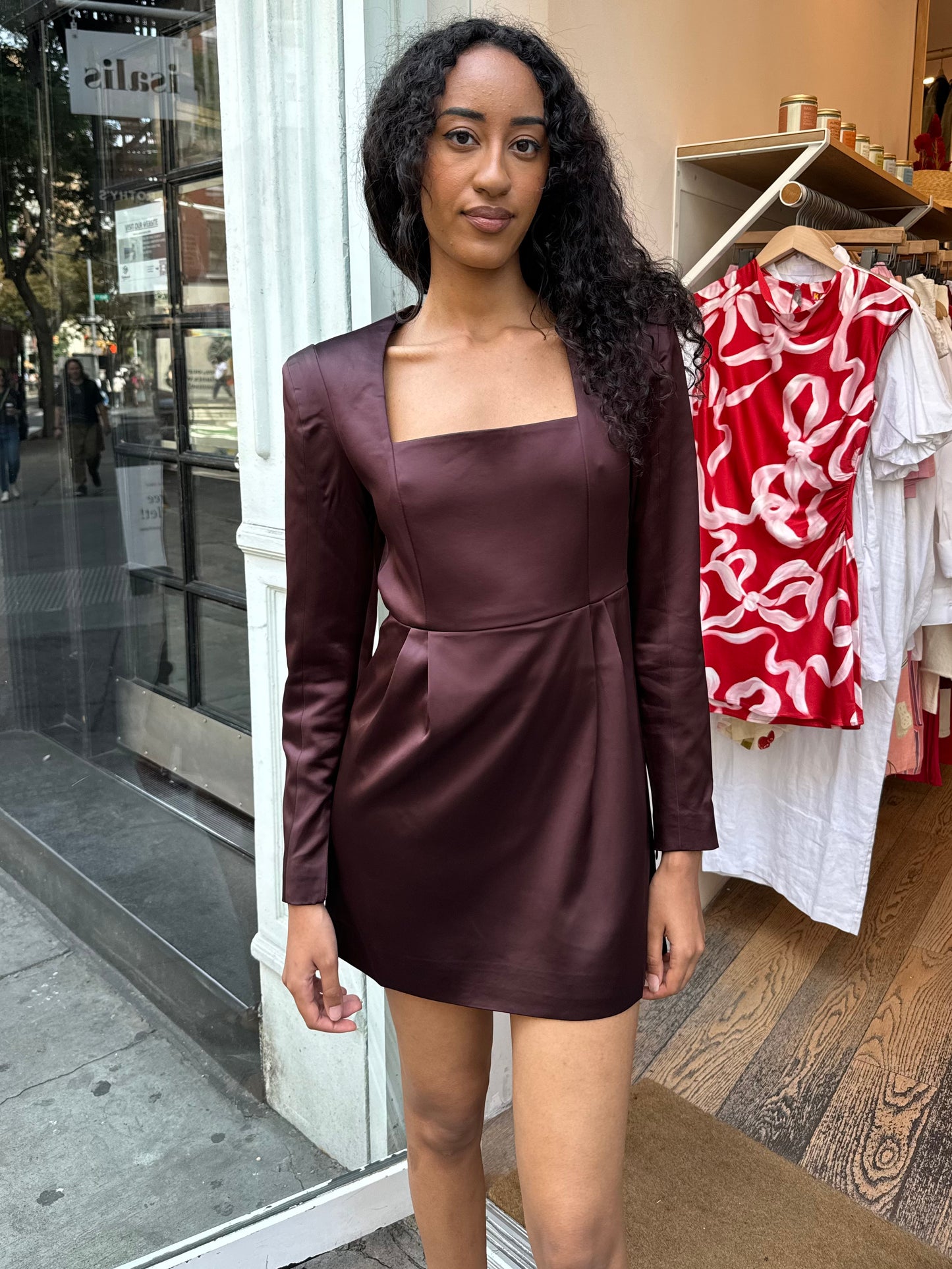 Valentina Dress in Chocolate Brown