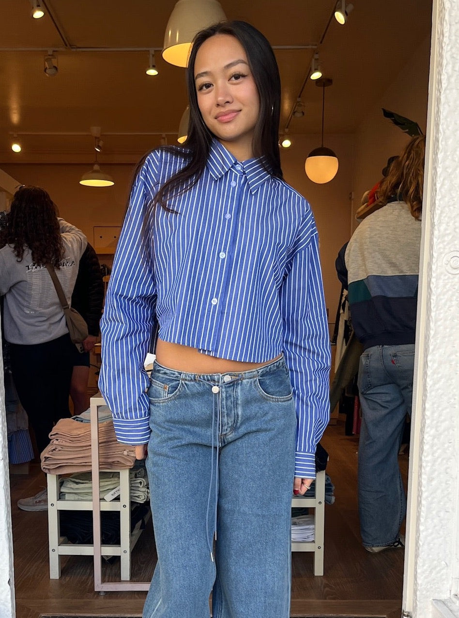 Duncan Striped Button Up in Blue White